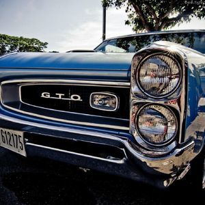 Meet your Posher, Thomas